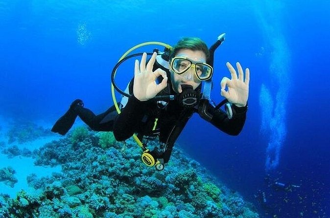Side /Manavgat : Underwater Museum Scuba Diving w/ Lunch Transfer - Lunch, insurance, and the value of having equipment taken care of