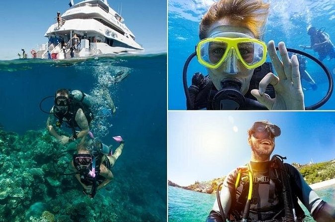Side /Manavgat : Underwater Museum Scuba Diving w/ Lunch Transfer - What you’ll actually see underwater (and why the guide makes the difference)