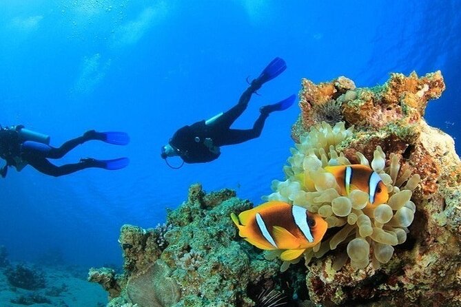 Side /Manavgat : Underwater Museum Scuba Diving w/ Lunch Transfer - Should you book this Underwater Museum scuba day from Side?