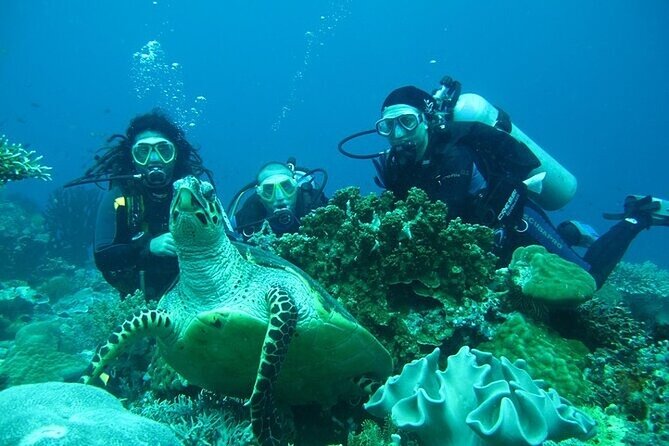Side /Manavgat : Underwater Museum Scuba Diving w/ Lunch Transfer - The boat ride: Manavgat River and Side coastline time that’s more than waiting
