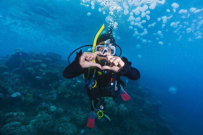 Side Scuba Diving for Beginners with Lunch and Transfers - Key Highlights You’ll Notice Fast