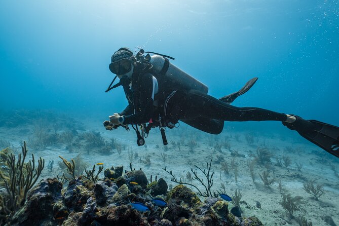 Side Scuba Diving for Beginners with Lunch and Transfers - Lunch Onboard: Schnitzel & Pasta and a Much Easier Day