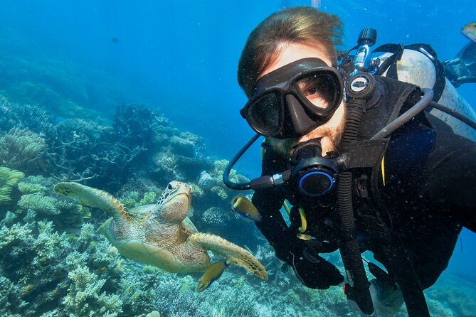 Side Scuba Diving for Beginners with Lunch and Transfers - Boat, Group Size, and the Feeling of Being Taken Care Of