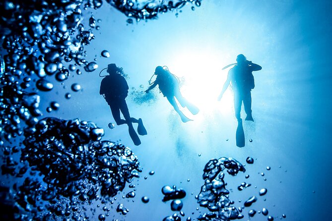 Side Scuba Diving for Beginners with Lunch and Transfers - Price Value Check: Why $49.21 Can Be a Good Deal