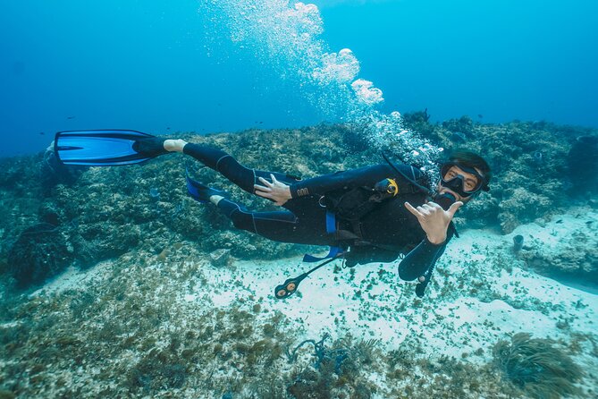 Side Scuba Diving for Beginners with Lunch and Transfers - Timing Notes: Pickup Around 08:00, Start 10:00, ~6 Hours Total