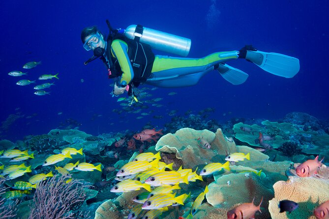 Side Scuba Diving for Beginners with Lunch and Transfers - First Underwater Session at 5–12m: Short Time, Big Payoff