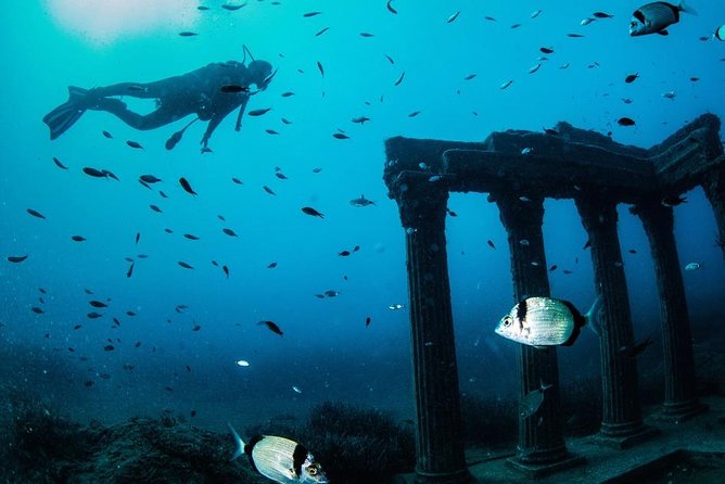 "Side: Scuba Diving in the Fascinating Underwater Museum" - What the Underwater Museum Adds to the Sea Life