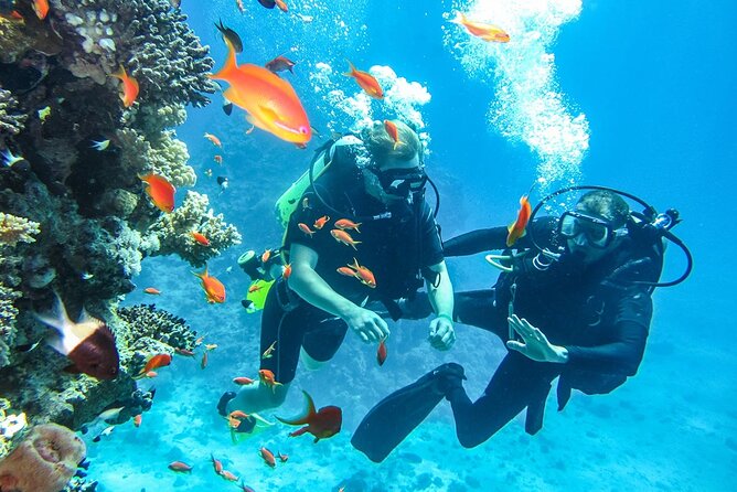 "Side: Scuba Diving in the Fascinating Underwater Museum" - Equipment and What You Still Need to Bring