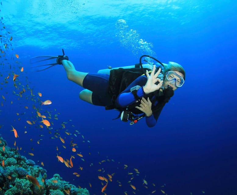 Side: Scuba Diving Tour Journey To The Depths Of The Blue - Price and Value at $53: What’s Included and What You Pay Extra For