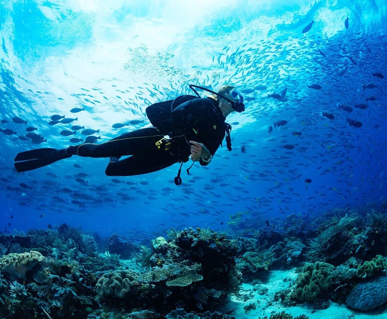 Side: Scuba Diving Tour Journey To The Depths Of The Blue - Who Should Book This Tour (and Who Should Skip It)