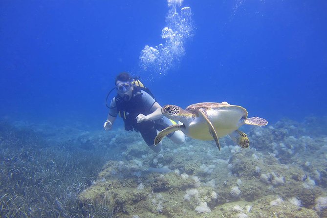 Side: Scuba Diving Under Water Museum - Side’s Underwater Museum: What You’re Really Experiencing