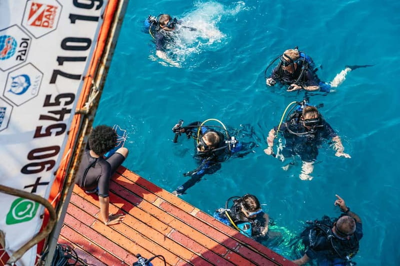 Side: Scuba Diving, Underwater Museum, 2 Dives incl. Lunch - The underwater museum angle: what you should expect from the sites