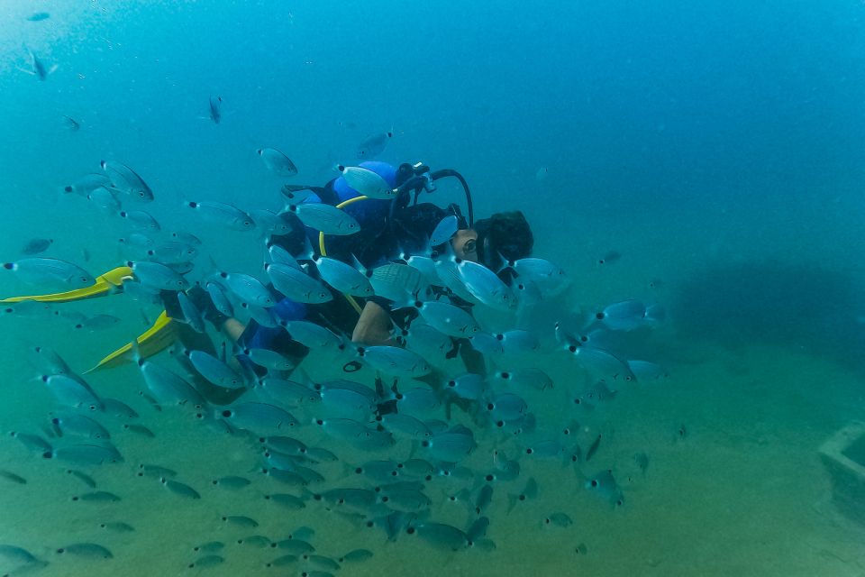 Side: Scuba Diving, Underwater Museum, 2 Dives incl. Lunch - Who this day trip suits best