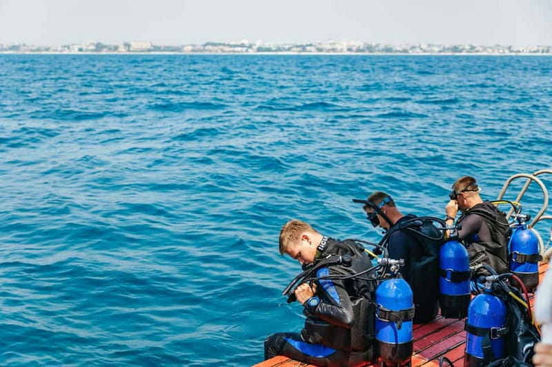 Side: Scuba Diving, Underwater Museum, 2 Dives incl. Lunch - Getting to the harbor: van timing, photo stops, and real-world logistics