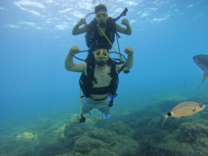 Side: Scuba Diving with Expert Diving Option - Between Sessions: Lunch on Board, Snorkeling Gear, and Sun Deck Time