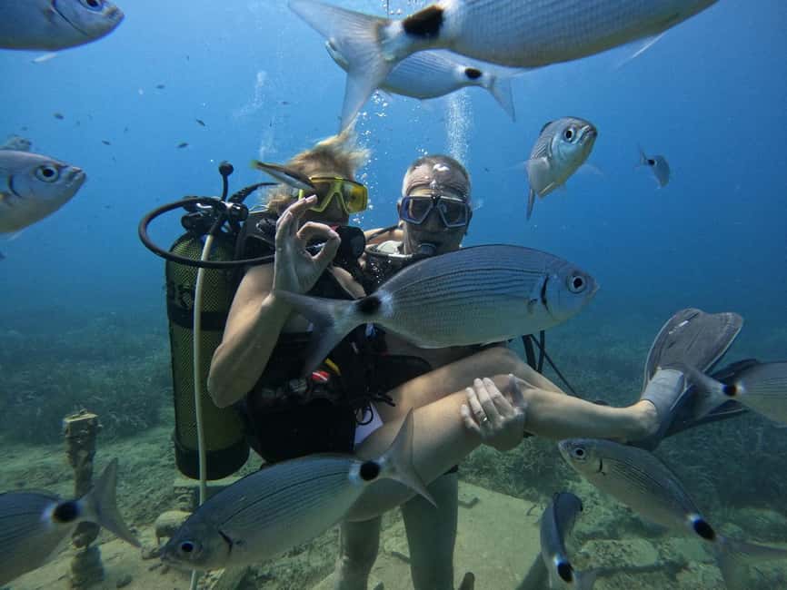 Side: Scuba Diving with Expert Diving Option - Comfort and Safety Notes You Should Actually Plan Around