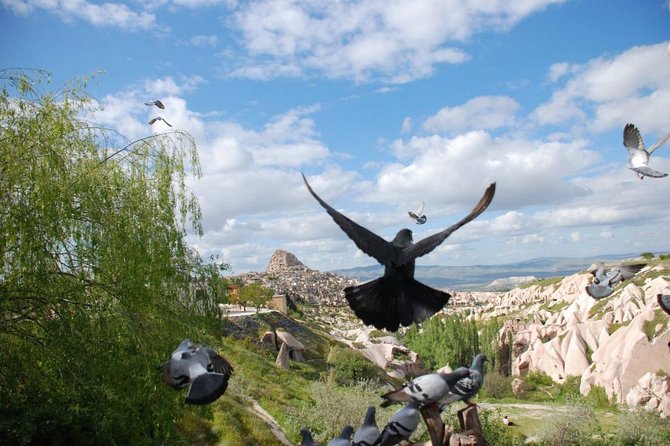 Small Group Cappadocia Tour - Avanos Oren Yeri Shop Stop: Know It’s Part of the Day