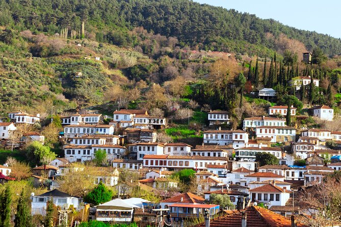 Small Group Ephesus & Sirince Village Tour From Kusadasi / Selcuk Hotels - The kind of guide this tour seems to reward