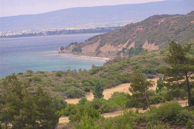 Small-Group Gallipoli Day Trip from Istanbul with Lunch and Guide - The Return Drive: Build in Recovery Time