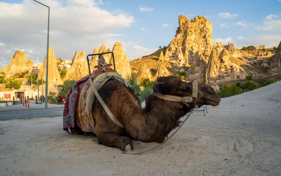 Sunrise and Sunset Camel Ride with Stunning Cappadocia Views - The Ride Experience: Views, Valleys, and Why the Camel Matters