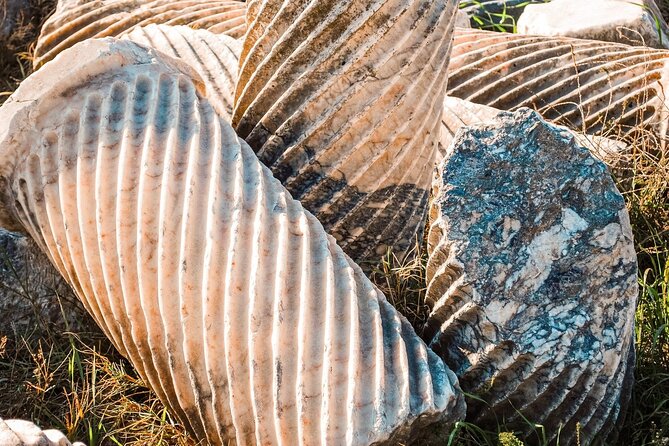 Termessos, Antalya Museum, and Kaleici Day Tour - Who should book this tour (and who should rethink it)