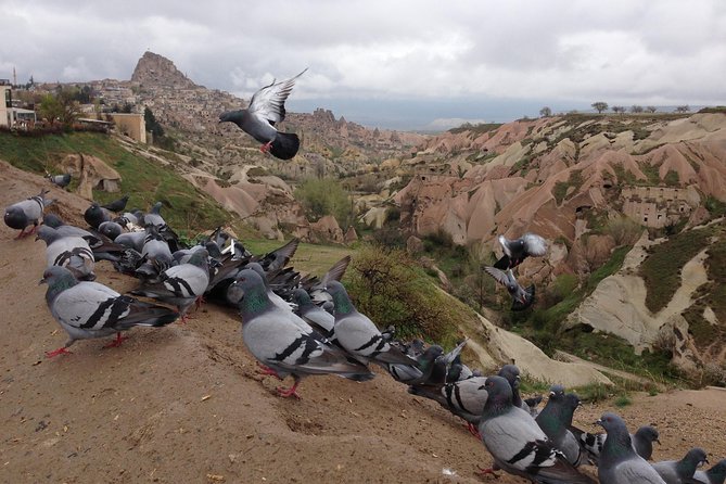 Tour of Highlights of Cappadocia with Lunch - Göreme Open Air Museum: cave churches that actually make sense