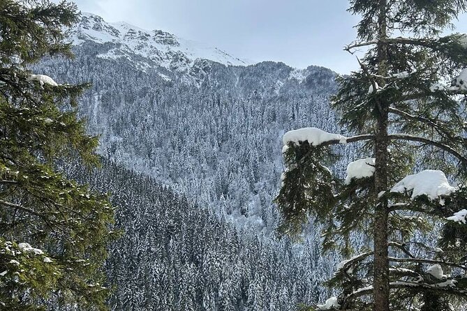 Trabzon Sümela Monastery and Hamsiköy Daily Tour - Price and Logistics: Getting Value Without Getting Surprised