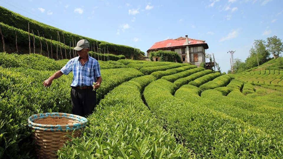 Trabzon: Uzungöl Group Tour, Explore The Nature & Taste Tea - Akif Usta Bıçakçılık: Seeing Why Sürmene Knives Have a Reputation