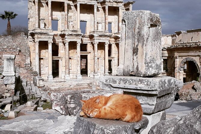 Traveler's choice: Ephesus, Terrace House Tour WITH TICKETS - Getting Back to Your Ship: The Real Value Is the Return Guarantee