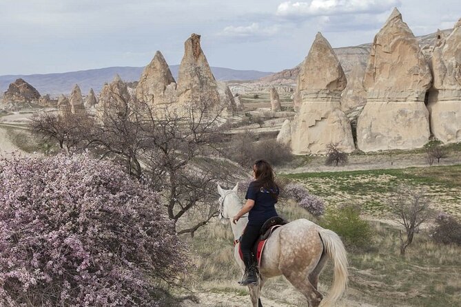 Turkey 8 Day Package - Istanbul, Cappadocia, Ephesus, Pamukkale - Day 6 Ephesus: a full guided day through major named ruins