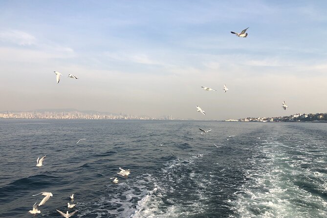 Turkish Odyssey: Exploring the Classics for 8 Days - Hagia Sophia to Blue Mosque: The Istanbul Classics in One Guided Sweep