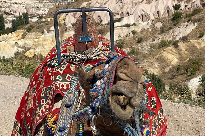 Ultimate Cappadocia Red Tour - Devrent Valley: animal-shaped rocks you can read fast