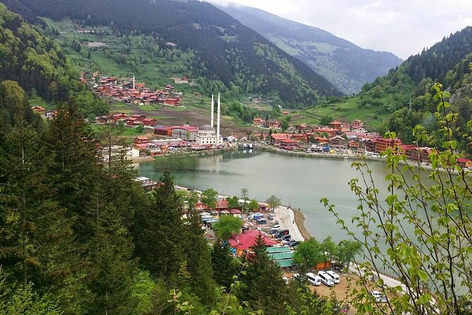 Uzungol Tour: Full-Day Nature Adventure with Tea Factory Visit - Demcay Gıda tea factory: a stop that feels more than tourist bait