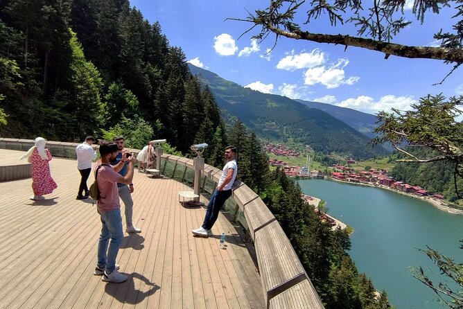 Uzungol Tour: Full-Day Nature Adventure with Tea Factory Visit - Price and logistics: where $58.71 makes sense (and where it doesn’t)