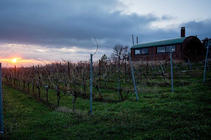 VIP Full Day Wineries Tour from Istanbul - What to expect on the day (and what to watch for)