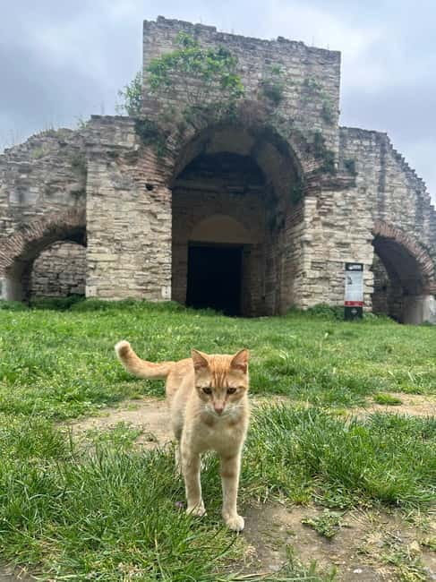 Walls of Contantinople and Byzantine Palace Tour - Should you book the Walls of Constantinople and Byzantine Palace Tour?