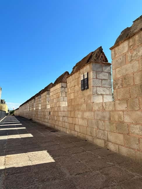 Walls of Contantinople and Byzantine Palace Tour - Gates, towers, and the Ottoman capture line you can visualize