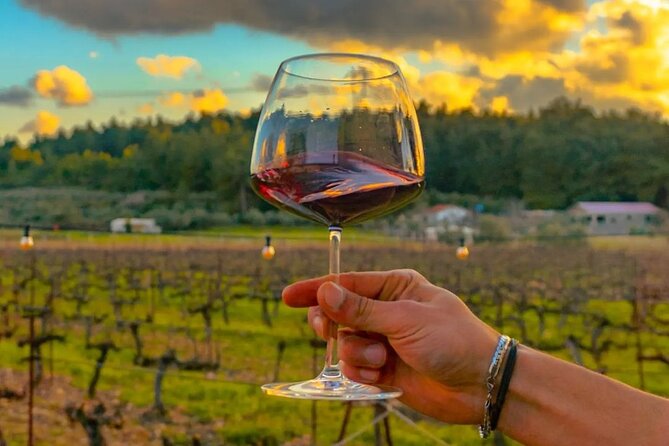 Wine Tasting Tour at Two Wineries in Urla Turkey - Key highlights you’ll feel right away