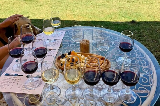 Wine Tasting Tour at Two Wineries in Urla Turkey - Small-group magic: what max 3 travelers really means