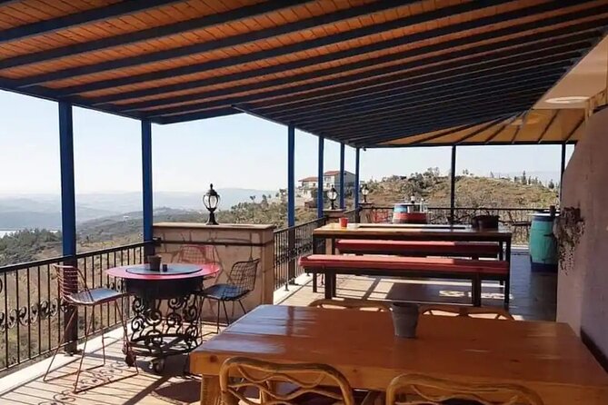 Wine Tasting Tour at Two Wineries in Urla Turkey - Price and value: is $144.35 fair for Urla’s two-winery day?